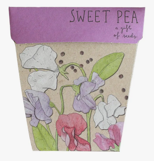 Sweet Pea Gift of Seeds