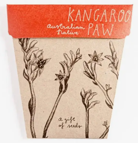 Kangaroo Paw Gift of Seeds